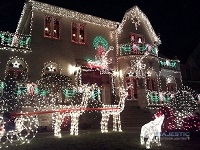 white holiday lights