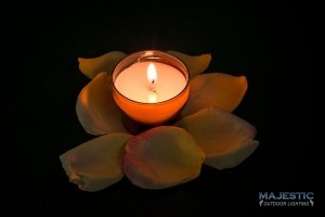 a photo of a tea light on top of rose petals